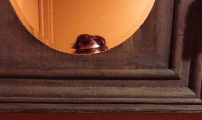the top of michelle's head in a mirror