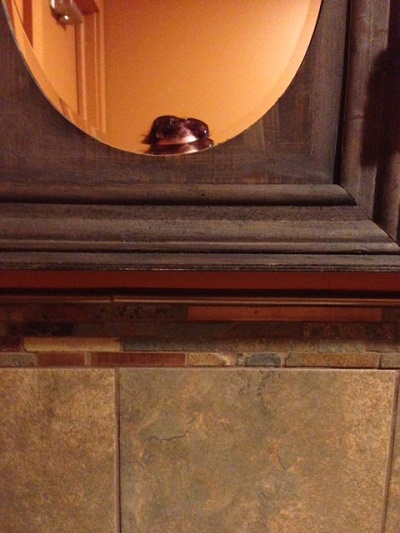 the top of michelle's head in a mirror